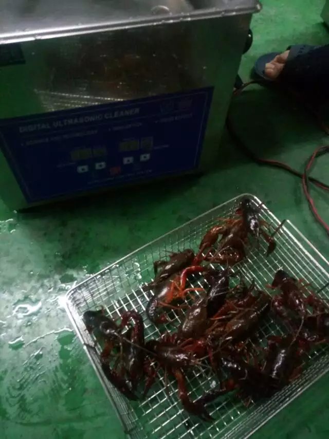 小龍蝦超聲波清洗機洗蝦機